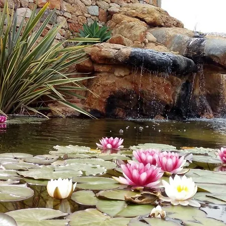 Cosmi Santa Eulária des Riu