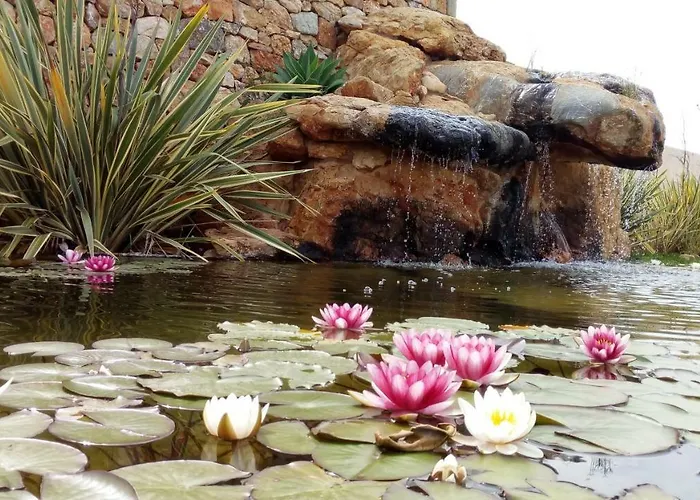 Cosmi Santa Eulária des Riu